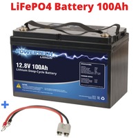 12V Battery Lithium Deep Cycle LiFePO4 100 Ah BMS 1280 Wh Marine Sealed Power + Lead